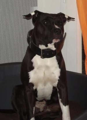 Spirit of old Go to the star